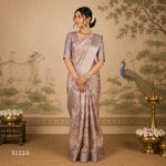 Fancy Sarees
