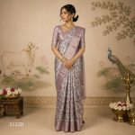 Fancy Sarees