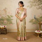 Fancy Sarees
