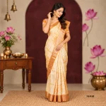 Fancy Saree