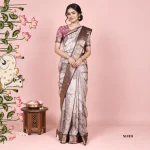 Fancy Saree