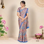 Fancy Sarees
