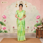 Fancy Sarees