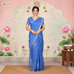Fancy Sarees