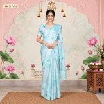 Fancy Sarees