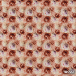 Fancy Sarees - Image 3