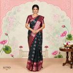 Rangoli Silk Sarees