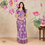 Fancy Sarees