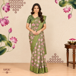 Fancy Sarees