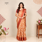 Fancy Sarees