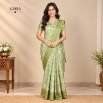 Fancy Sarees