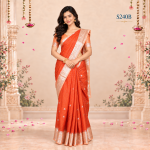 Fancy Sarees
