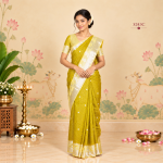 Fancy Sarees