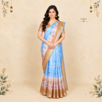Fancy Sarees