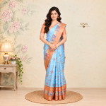 Fancy Sarees