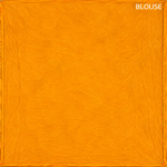 Fancy Chiffon Sarees - Image 3