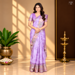 Fancy Sarees
