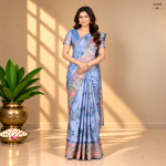 Fancy Sarees